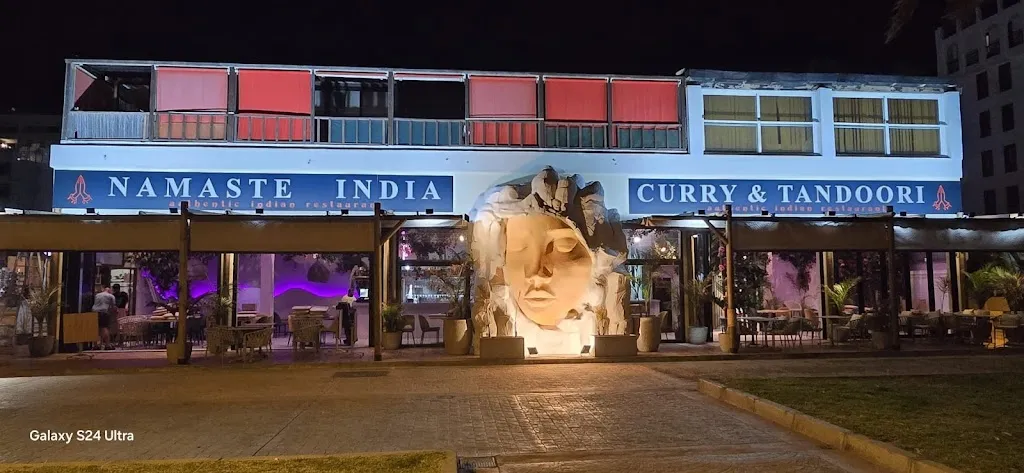 Namaste India las Américas restaurant in Playa de las Américas