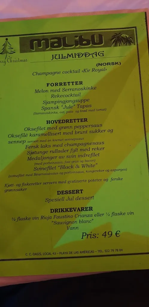 Menu_Restaurante Malibu_Playa de las Américas_image_3