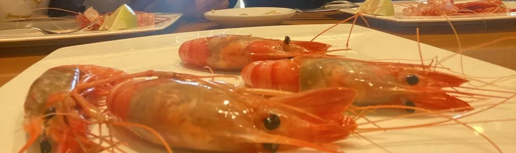 Menü_Restaurante Avenida_Gata de Gorgos_Bild_4