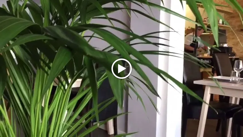 La Brasa Steak y Tapas Steakhouse Santa Brígida_Santa Brígida_slider_image_2