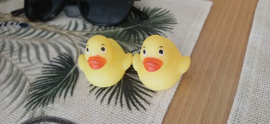 H_Jungle Vibes At The Marina_Playa Blanca_review