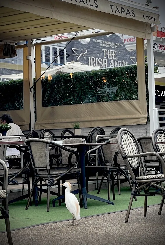 Restaurante Utopia restaurant in Playa Blanca