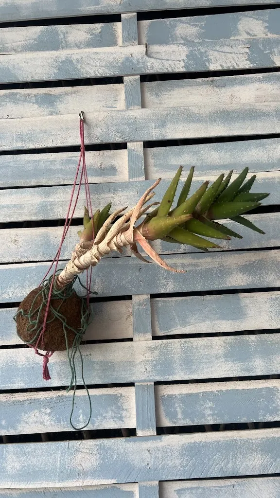 OK James _Sergio_Playa Blanca_review