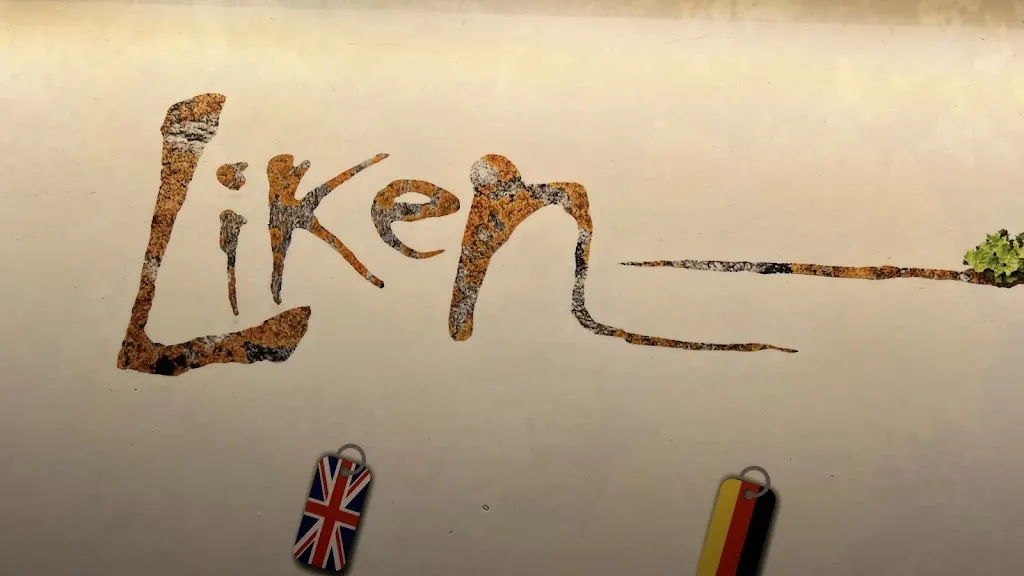 Mike Halland_Liken Restaurante_Playa Blanca_review