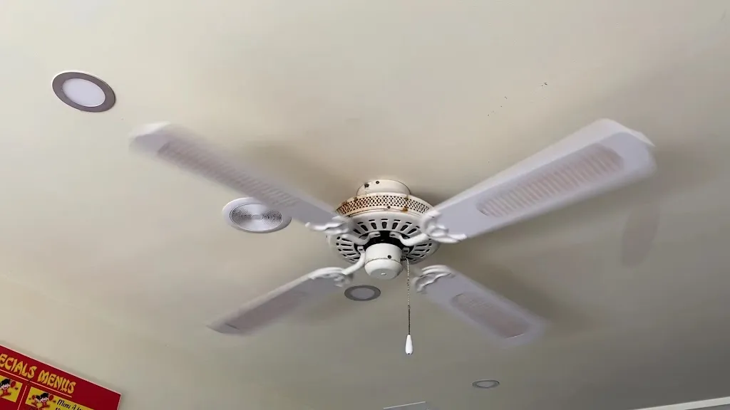 Mr. PANDA_Playa Blanca_slider_image_2