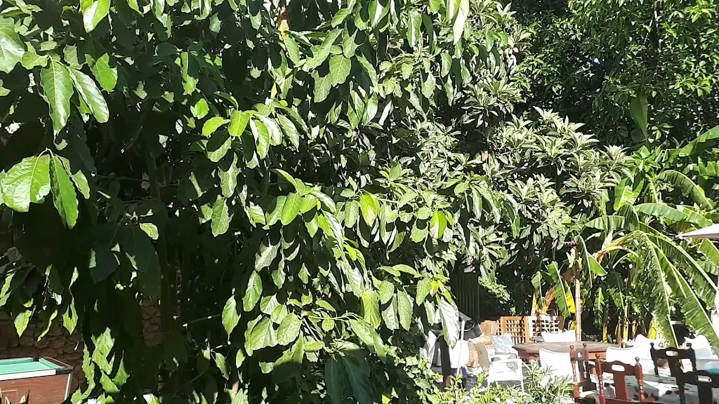 Bar la Concordia - The Secret Garden_Gata de Gorgos_slider_image_2