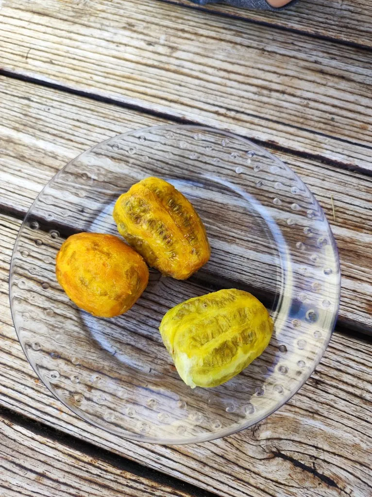 Matea Lukačin_Viejo Rincón_Santa Lucía de Tirajana_review