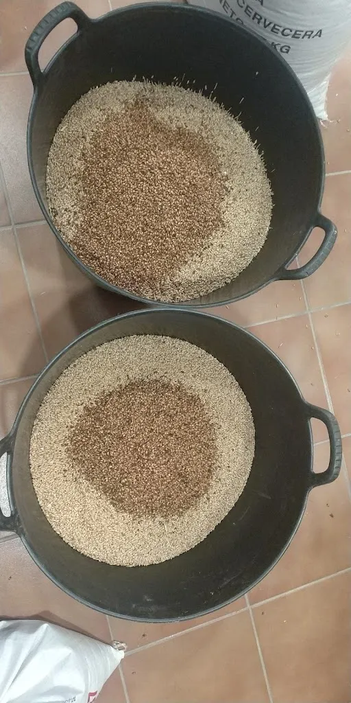 Menu_Cerveseros Gateros_Gata de Gorgos_immagine_5