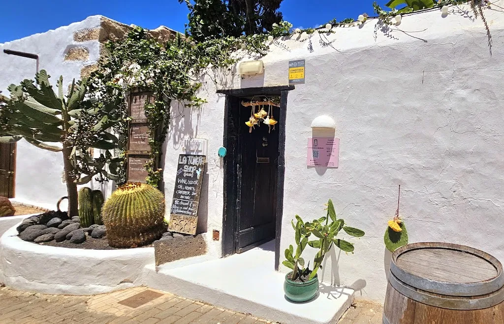 Terence Mc Alinden_Bodega Santa Barbara_Teguise_review