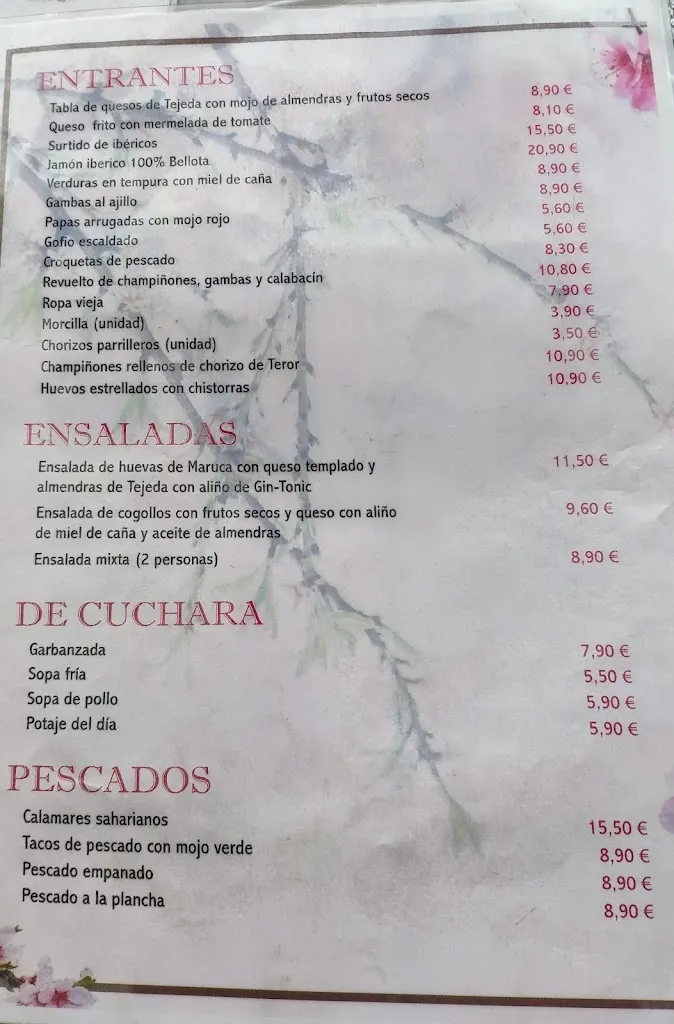 Menu_Restaurante Asador Grill El Almendro_Tejeda_immagine_4