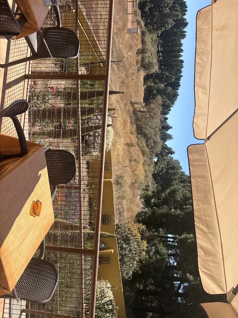 ella hager_Restaurante Grill La Cumbre_Tejeda_review