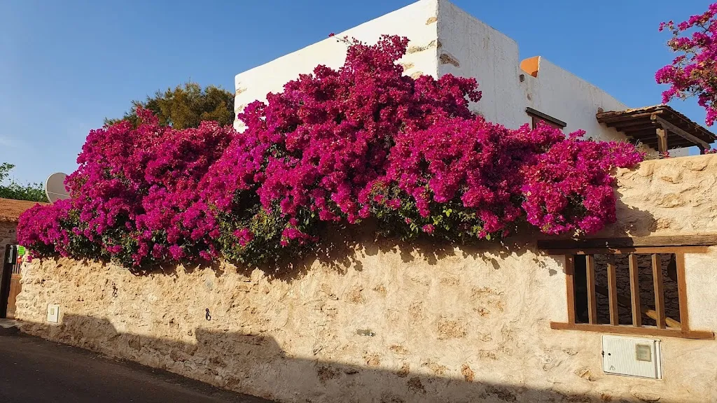 Bar Cafetería Tamasite_Tuineje_slider_image_3