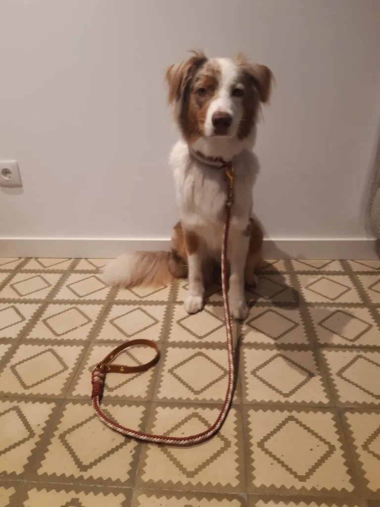 Jade Louber_Mila&Co_Vallehermosa_review