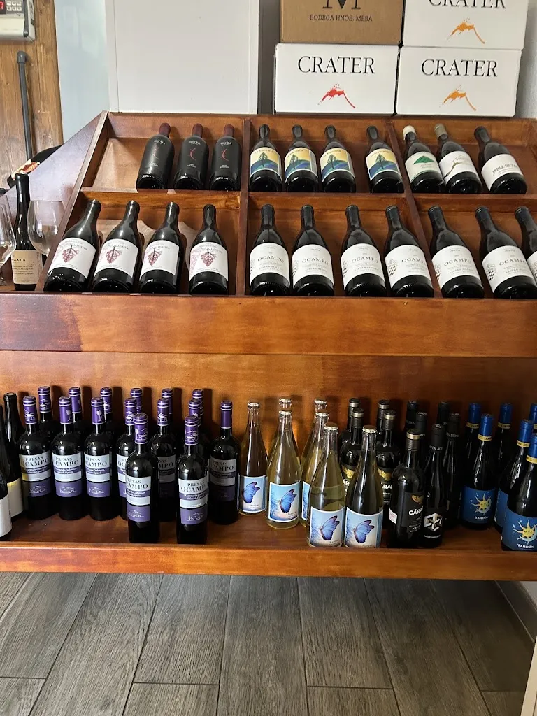 Adriana Rotaru_La Barrica del Sauzal_Sauzal_recensione