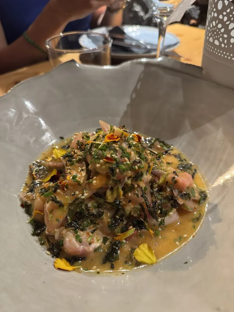 Ece Demiray_Nila_Sauzal_review