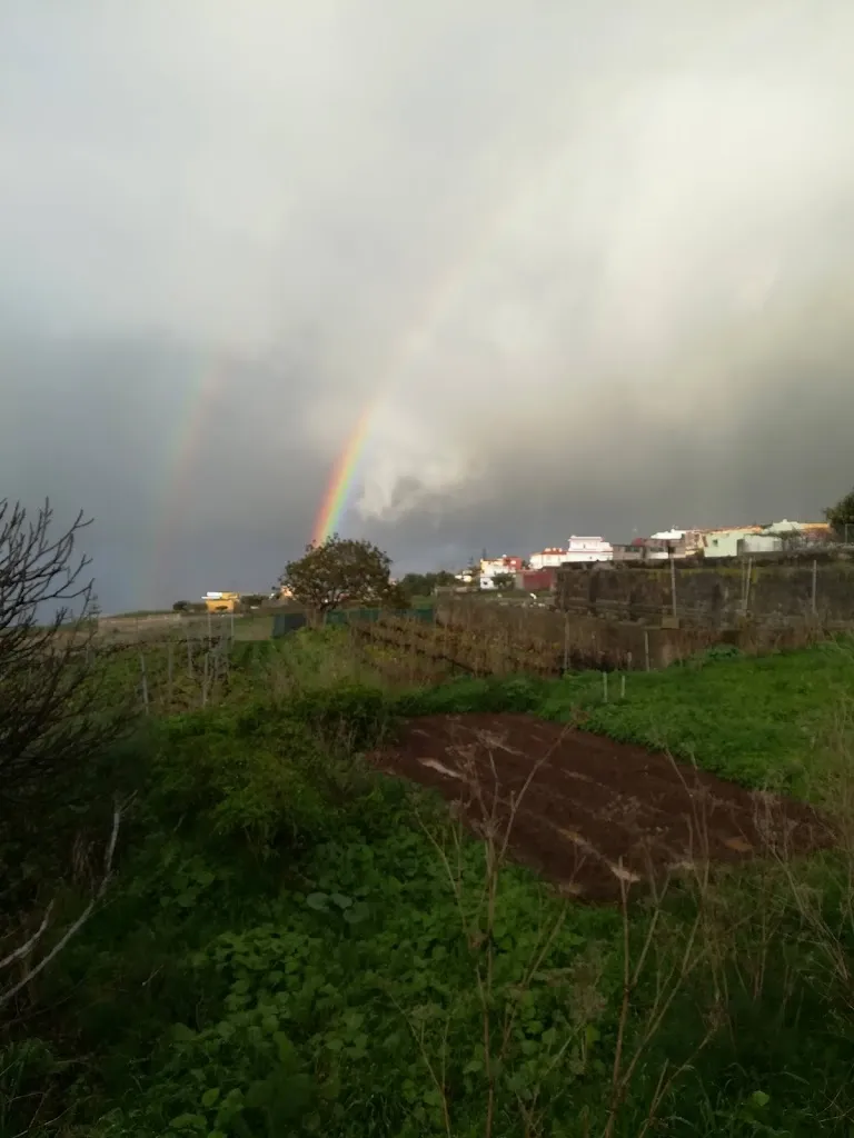 Restaurante Casa Domingo_Sauzal_slider_image_3