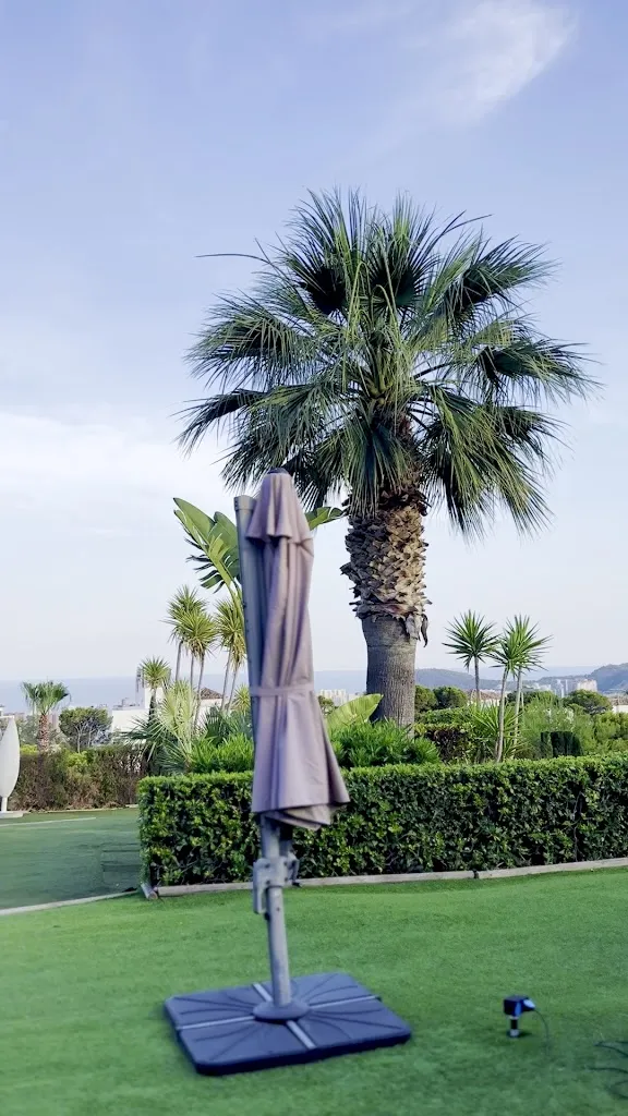 Julia Ginzhul_Rice Restaurant_Finestrat_review