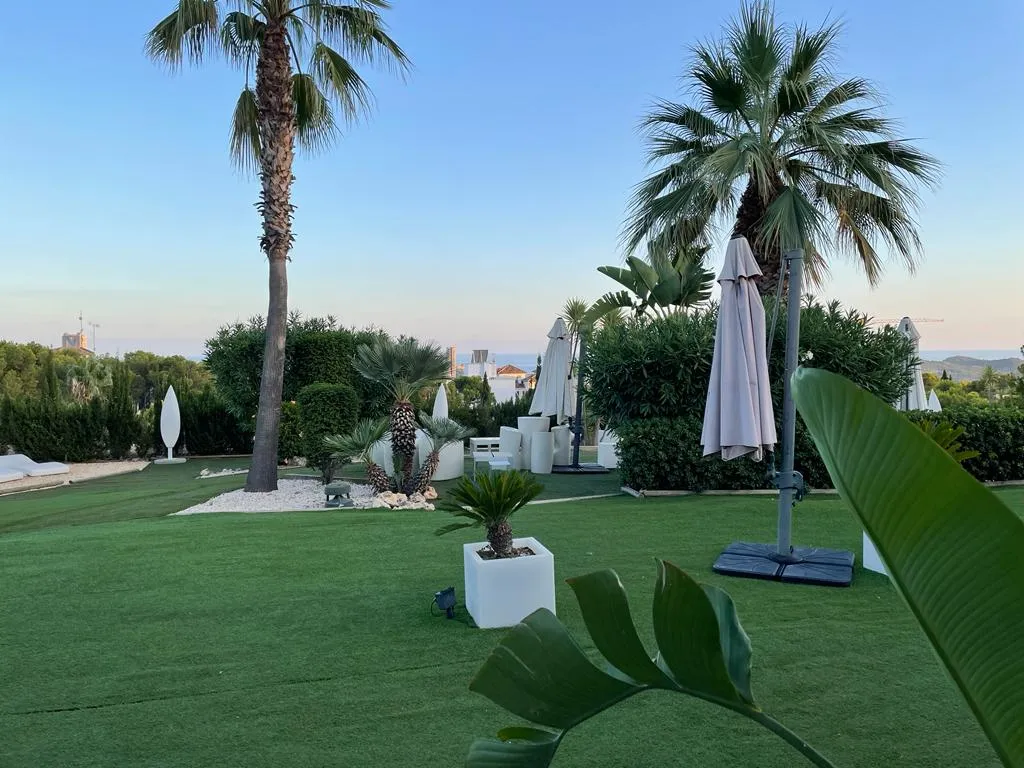 Diana Tolentino Diaz_Rice Restaurant_Finestrat_review