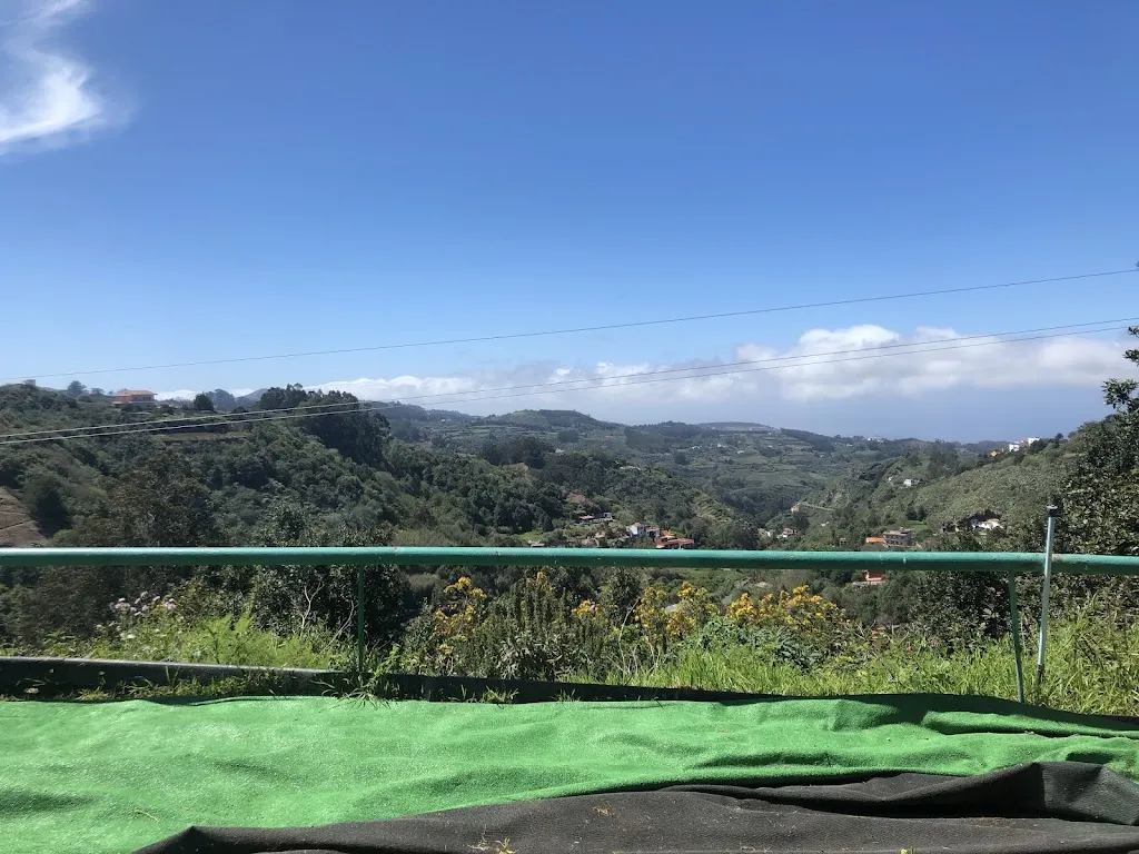 Ken Curran_Restaurante Arcos de la Laguna, Valleseco_Valleseco_review