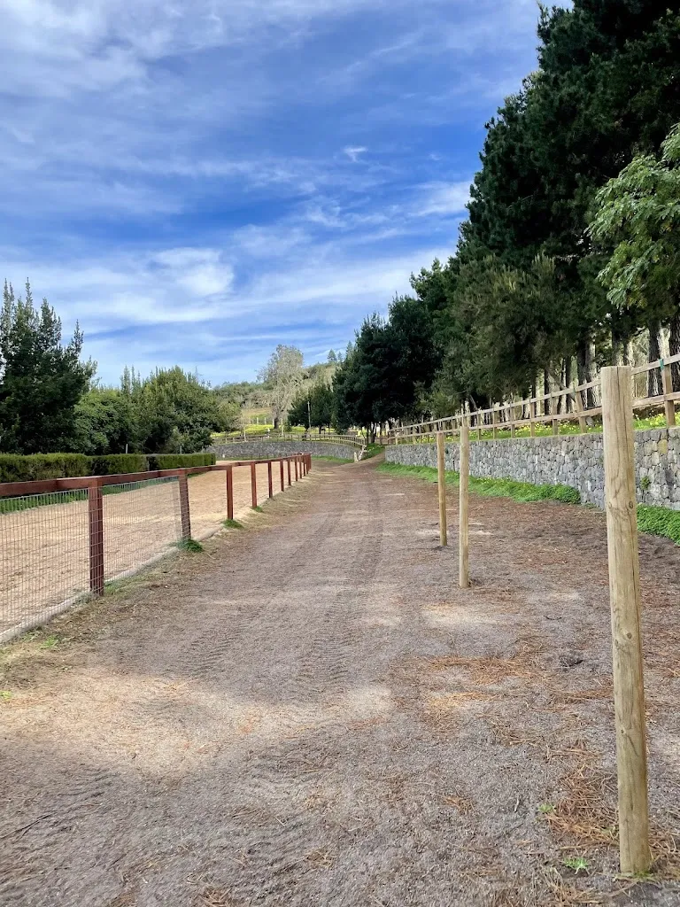 George C_Área Recreativa de la Laguna de Valleseco_Valleseco_review