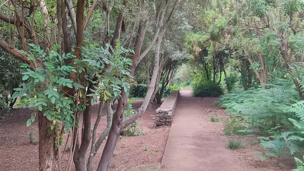 Área Recreativa de la Laguna de Valleseco_Valleseco_slider_image_2