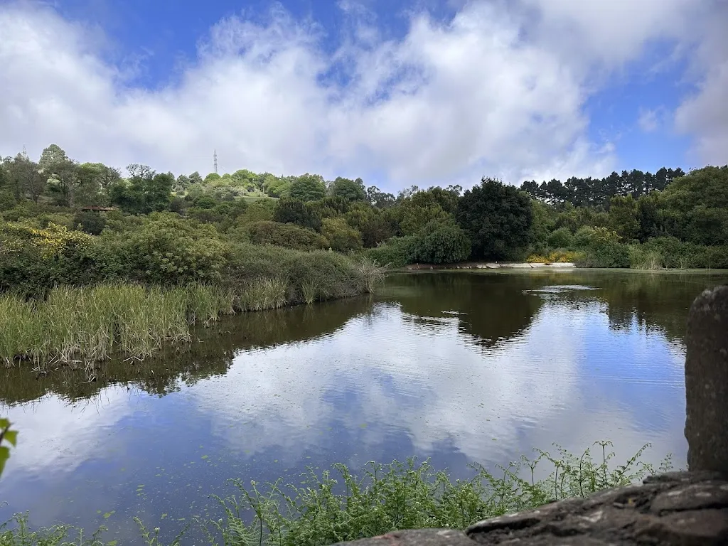Área Recreativa de la Laguna de Valleseco_Valleseco_slider_image_3