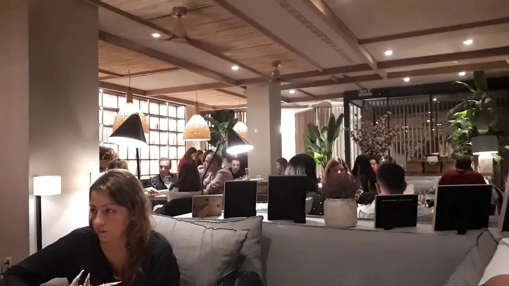 Saona Balboa_Balboa_slider_image_2