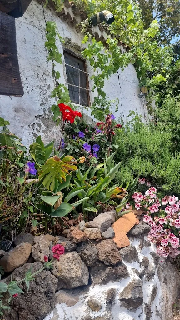 Michelle Louise Friend_EL PATIO_Vega de San Mateo_recensione