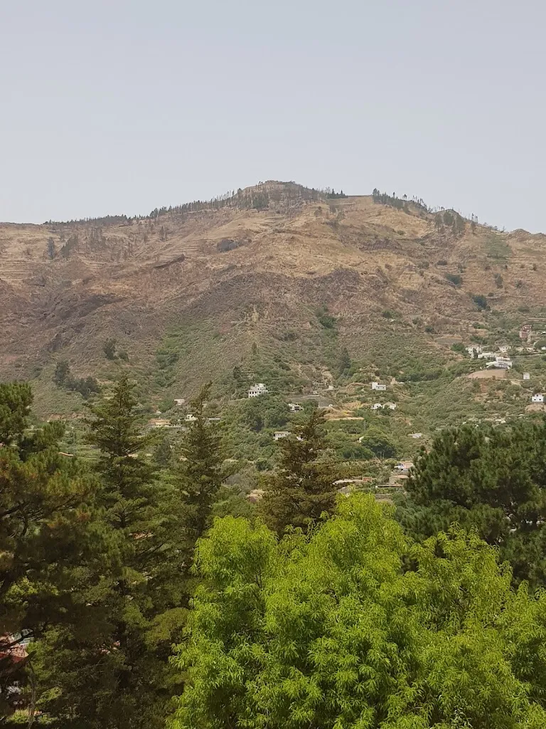 Emma Cane_Restaurante Hermanos Moreno_Vega de San Mateo_recensione