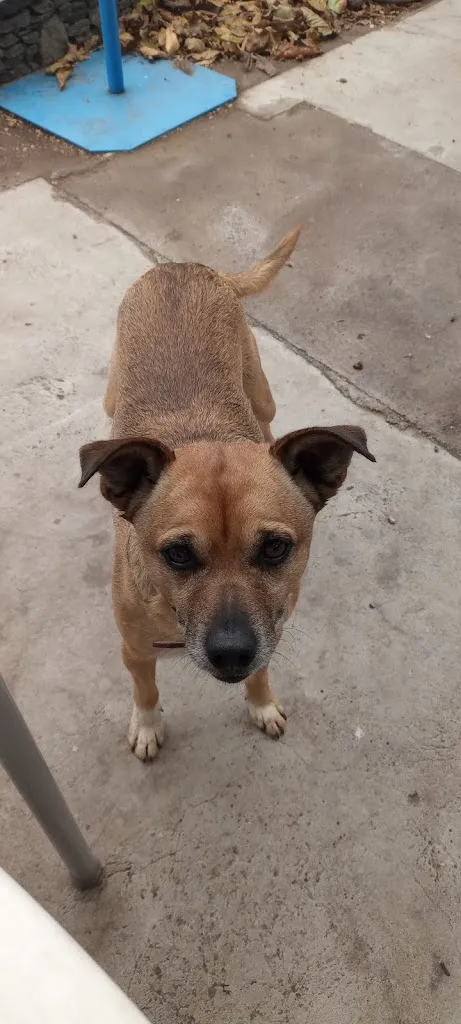 John Wijaya_El Rincón de Cueva Grande_Vega de San Mateo_review