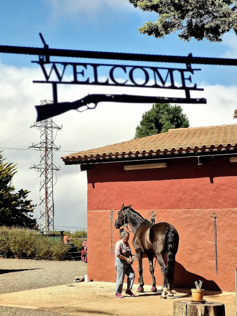 Tsarina_Restaurante Smokehouse La Frontera_Vega de San Mateo_review