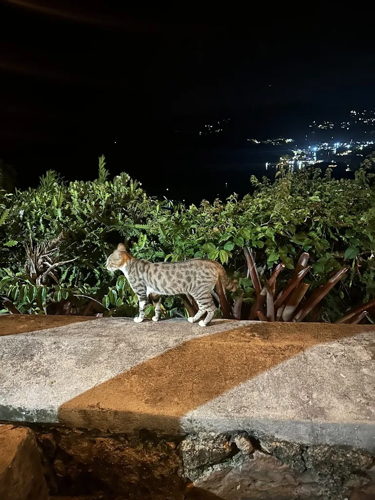 Mitchel Cabanas_Shirley Heights Lookout_Antigua La_review