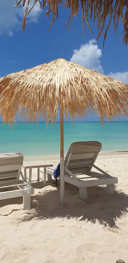 Olwen James_Casa Roots - Beach - Food & Drinks_Antigua La_review