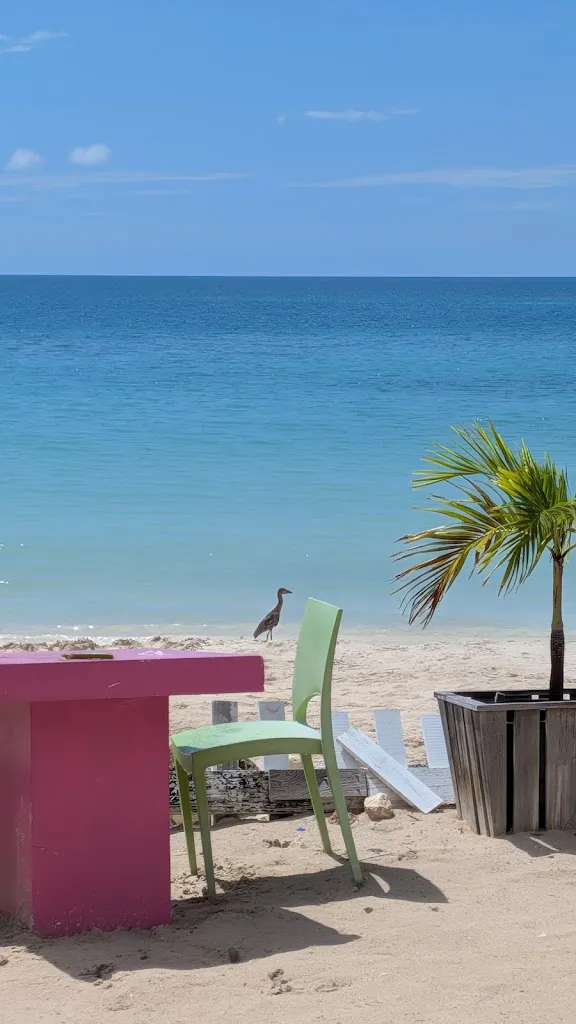 Danielle Hammond_Ana's On The Beach_Antigua La_review