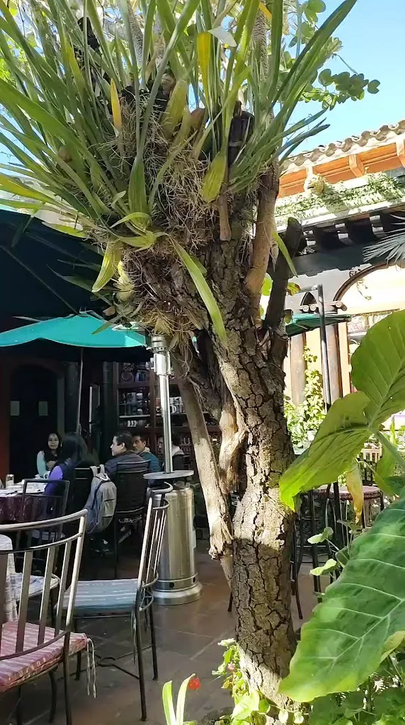 Café Condesa_Antigua La_slider_image_2