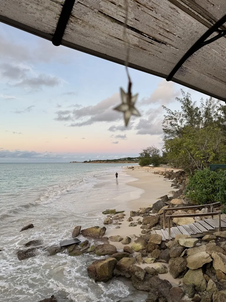 Caroline Kiernan Lodato_Beachlimerz_Antigua La_recensione