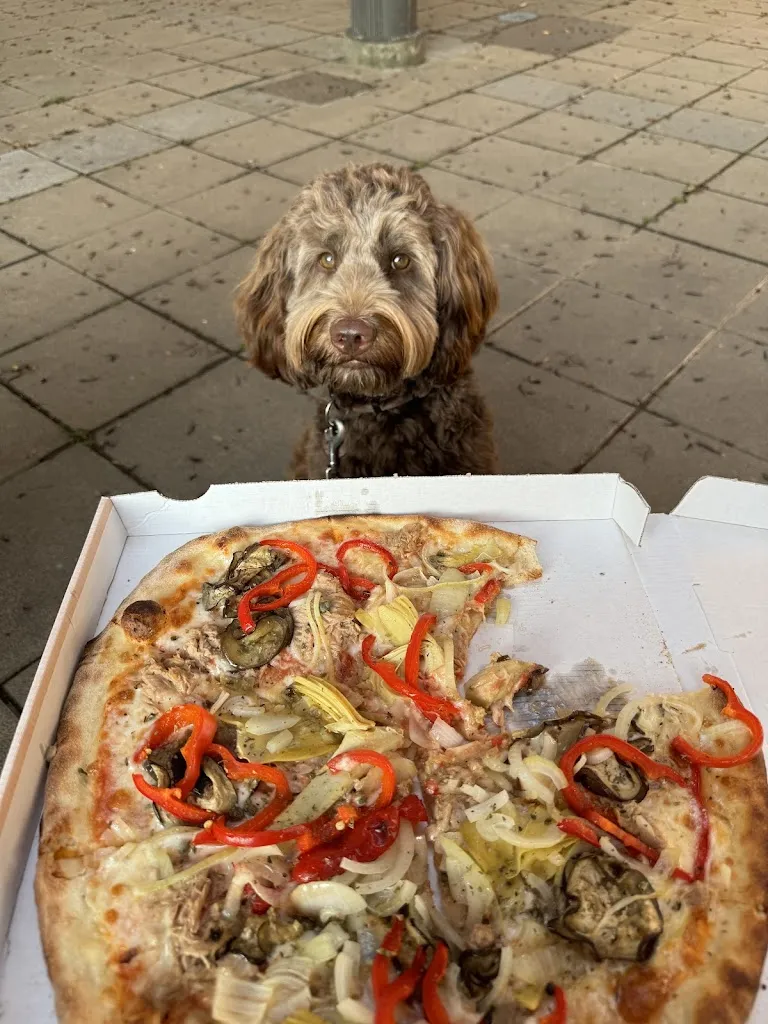 Sanel_Pizzería L´Isola Che Non C´e _Astorga_review