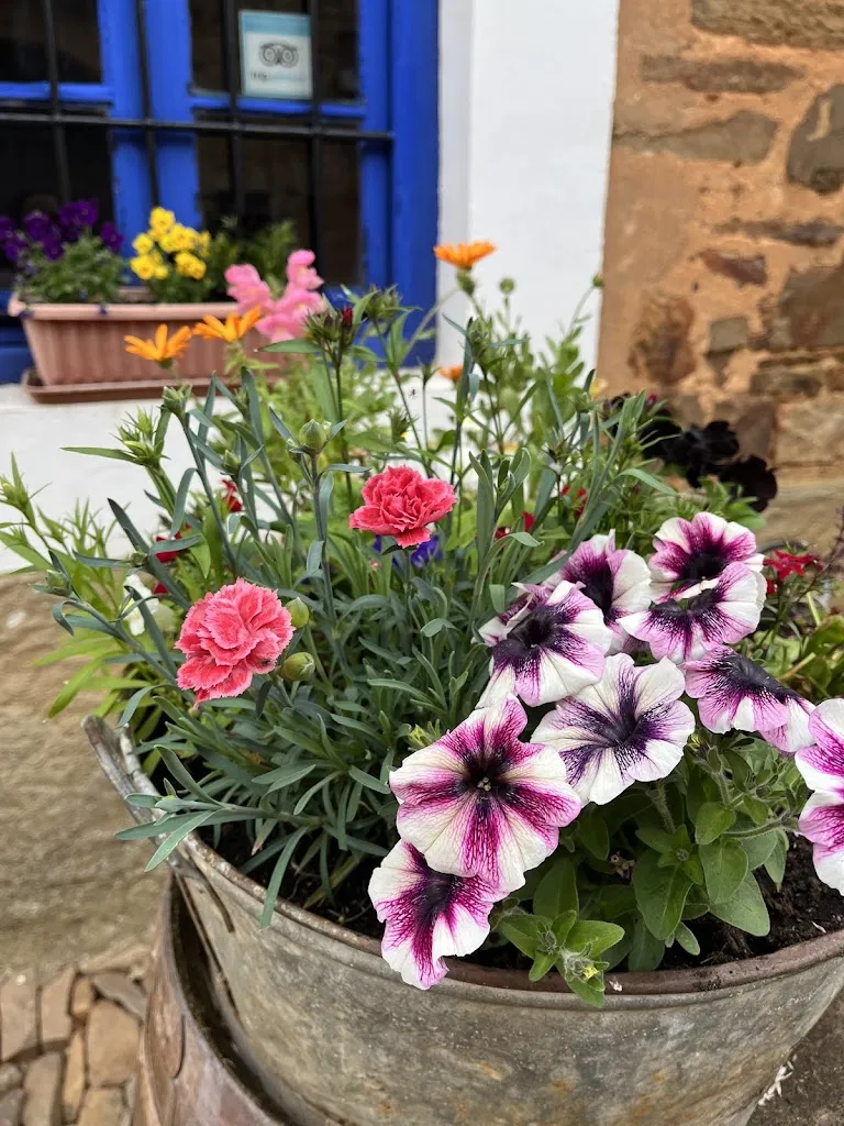 John Ruiz _Casa de comer Entrepiedras_Astorga_Bewertung