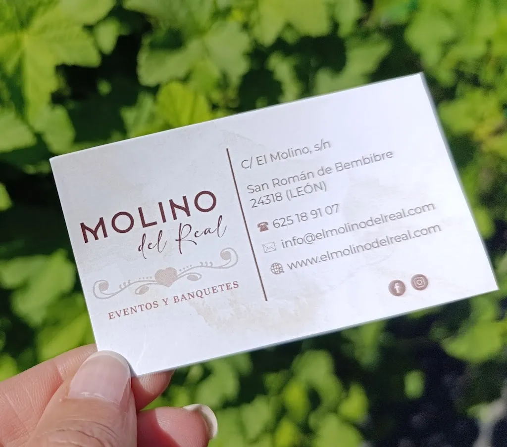 Rosa González_Restaurante Molino del Real _Bembibre_review