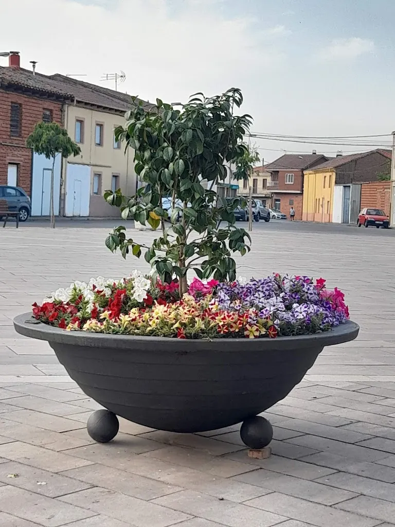 Cafetería Covi_Bustillo del Páramo_slider_image_2