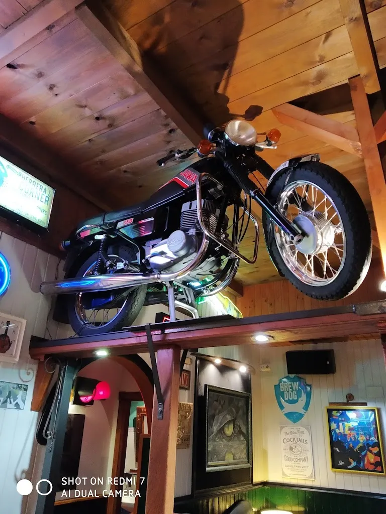 Maria Serrano_Cocodrilo Negro Cafe_Cabañas Raras_review