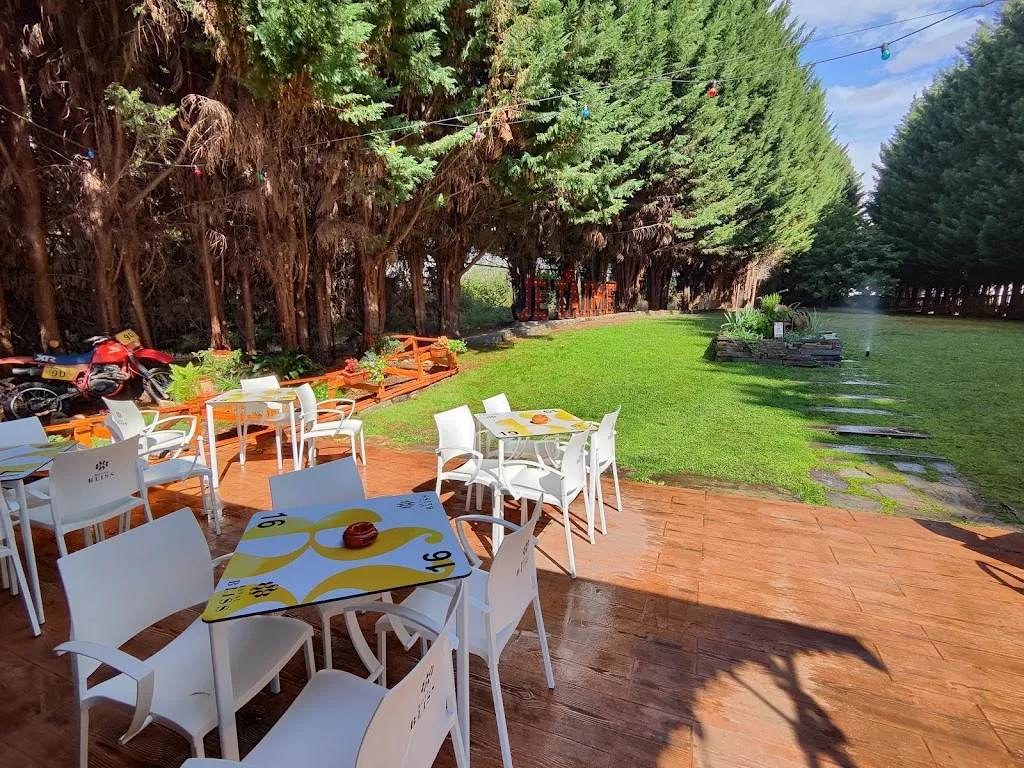 Cocodrilo Negro Cafe_Cabañas Raras_slider_image_3