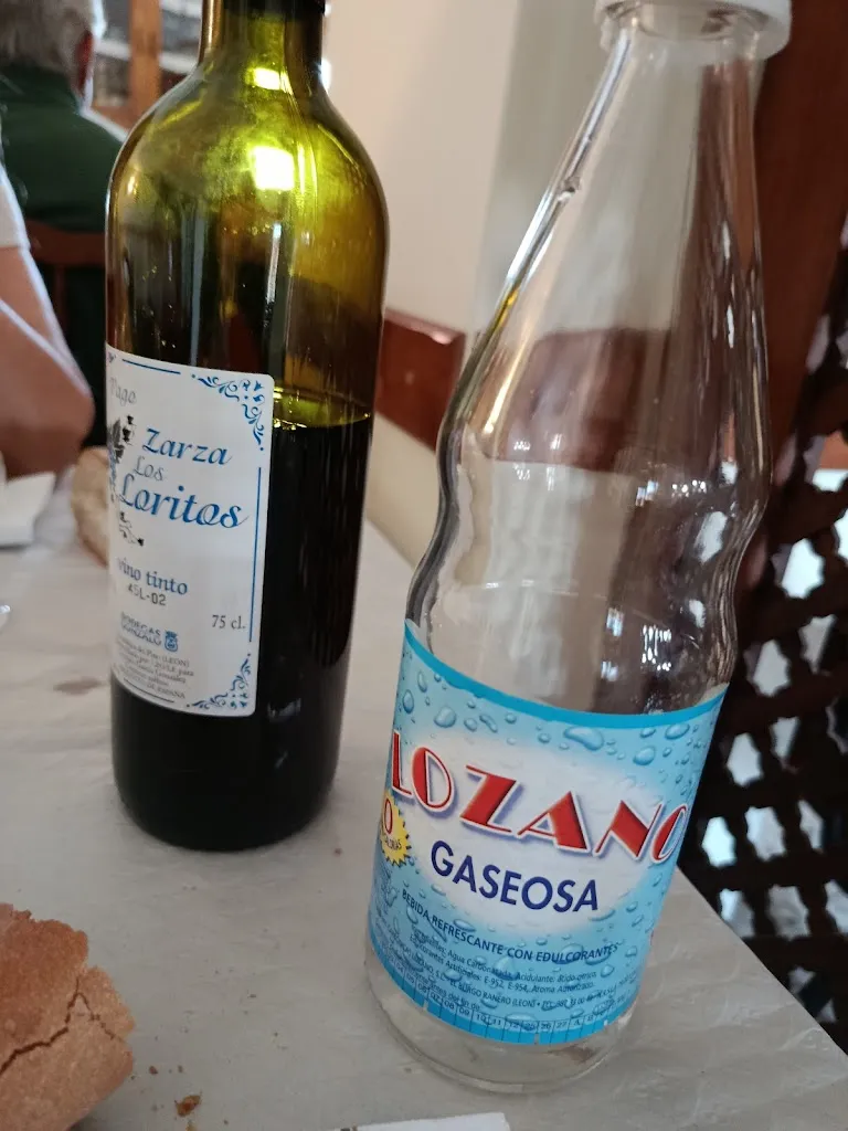 Elso Brino_Bar_Restaurante El Molino_Burgo Ranero El_review