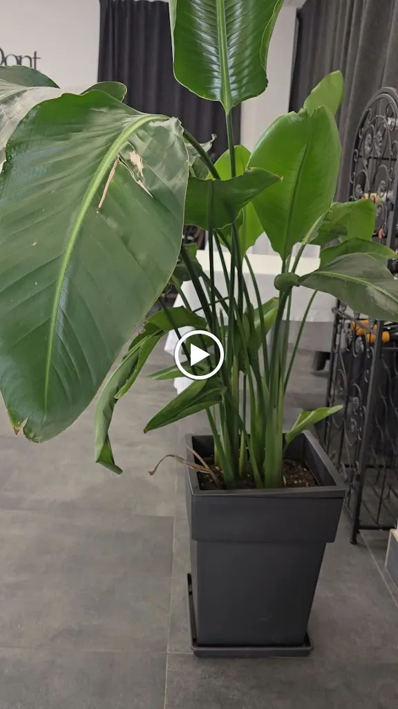 Restaurante Riazor_Camponaraya_slider_image_2