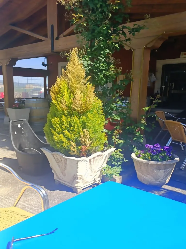 Rascayu espina_Café Bar El Monasterio_Carracedelo_review