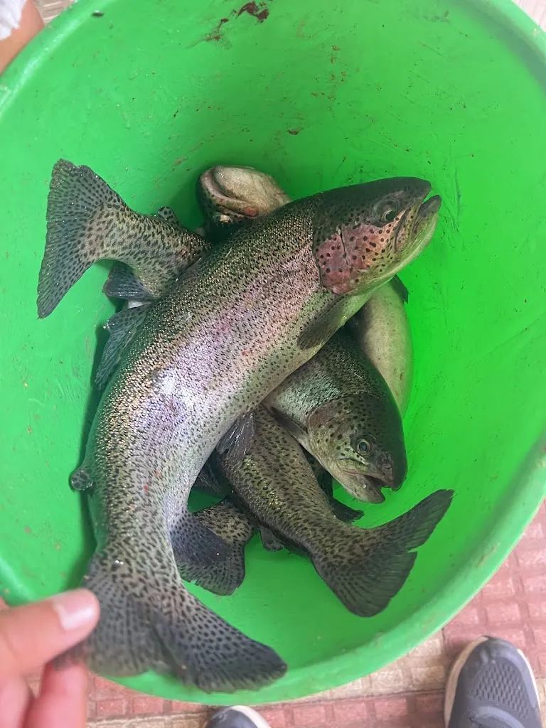 Eduard Bantula Gutierrez_Piscifactoria de Villanueva de Carrizo_Carrocera_review