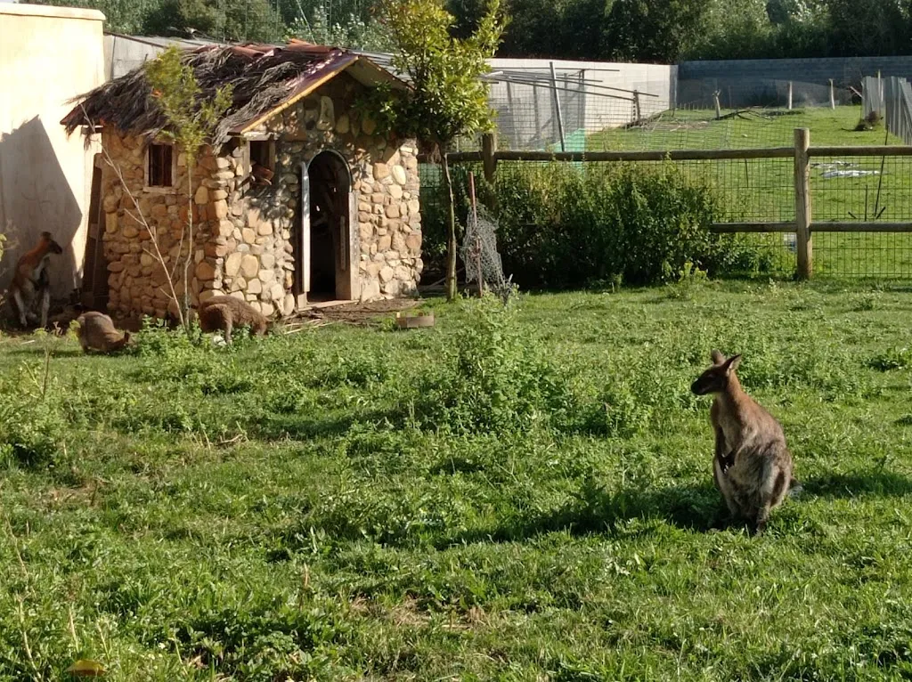 Angel Lopez_Los Reales_Carrizo de la Ribera_review