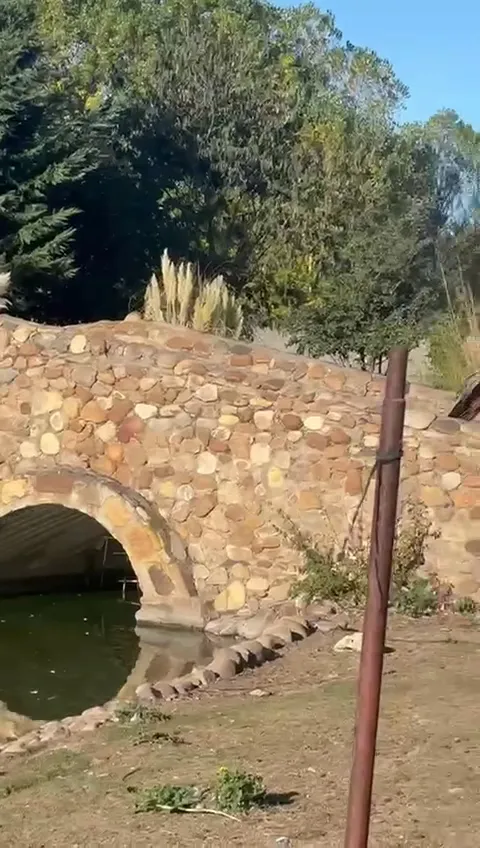 mikel_Los Reales_Carrizo de la Ribera_review