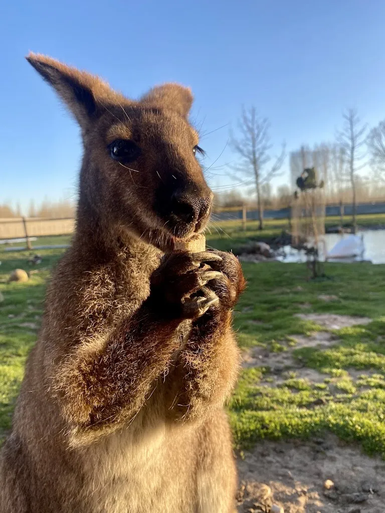 Ariane_Los Reales_Carrizo de la Ribera_review