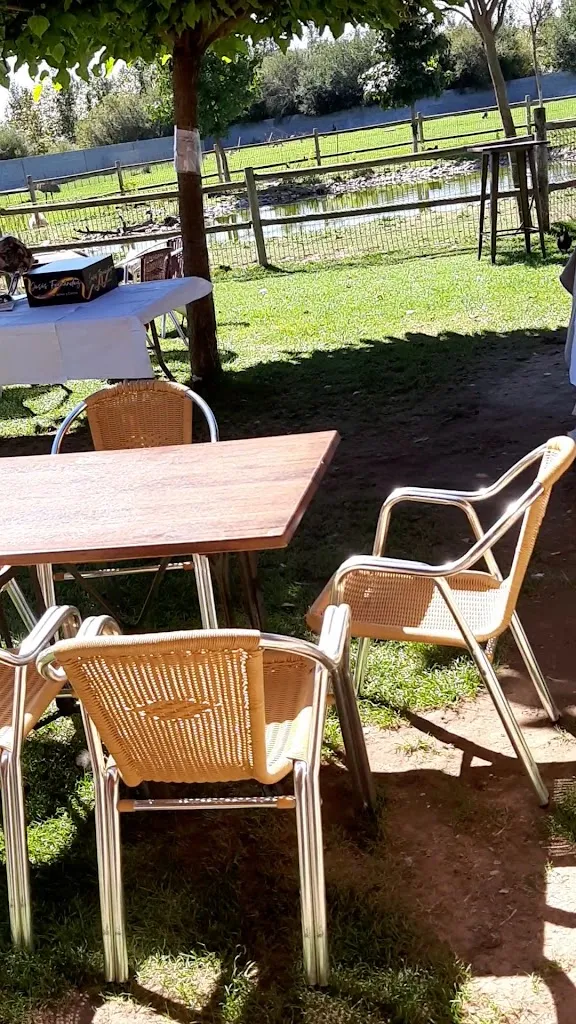 Los Reales_Carrizo de la Ribera_slider_image_2